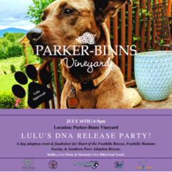 Lulu's DNA Release Party